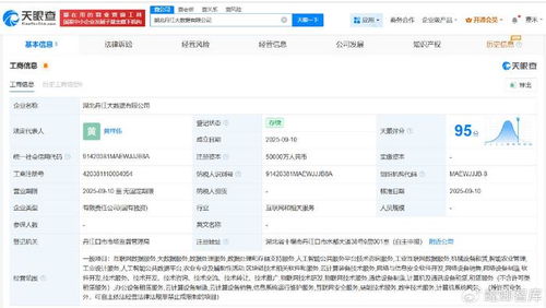 湖北丹江大數(shù)據(jù)公司成立，5億注冊(cè)資本瞄準(zhǔn)數(shù)據(jù)處理服務(wù)新藍(lán)海